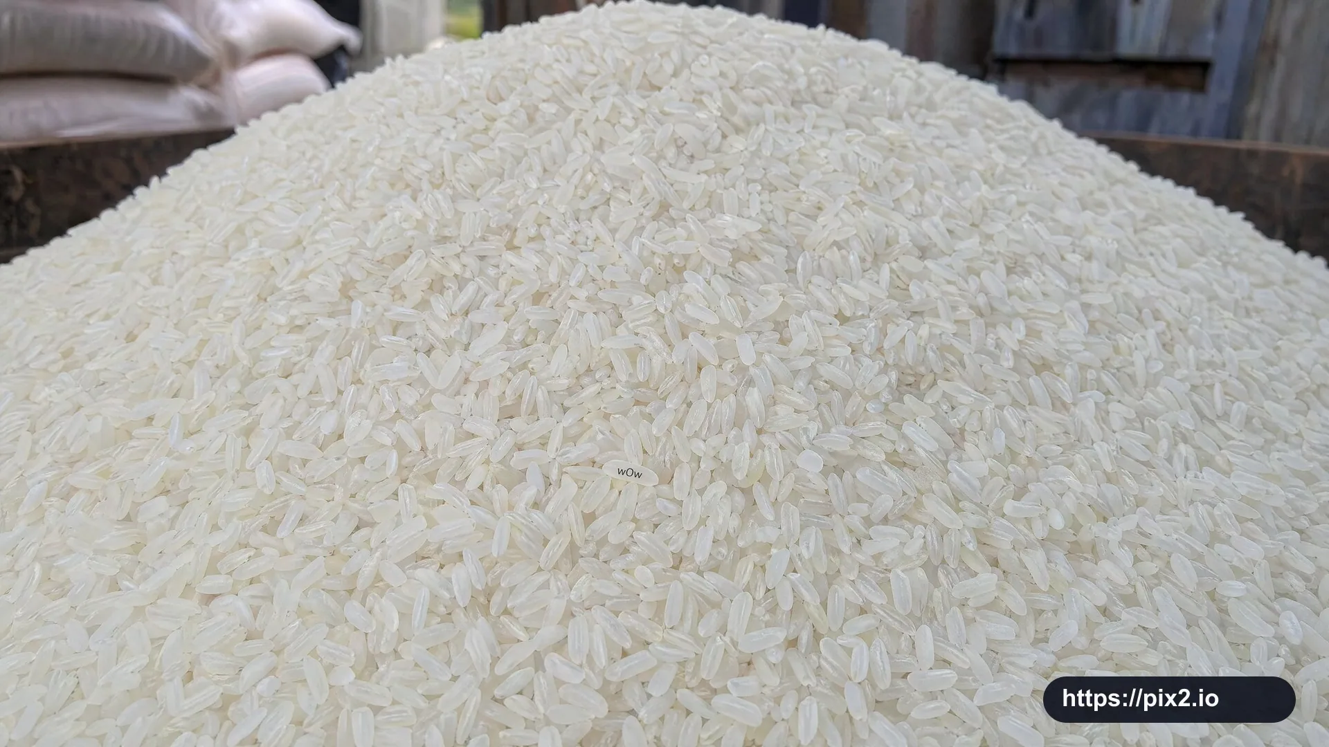 Tiny Text on a Grain of Rice