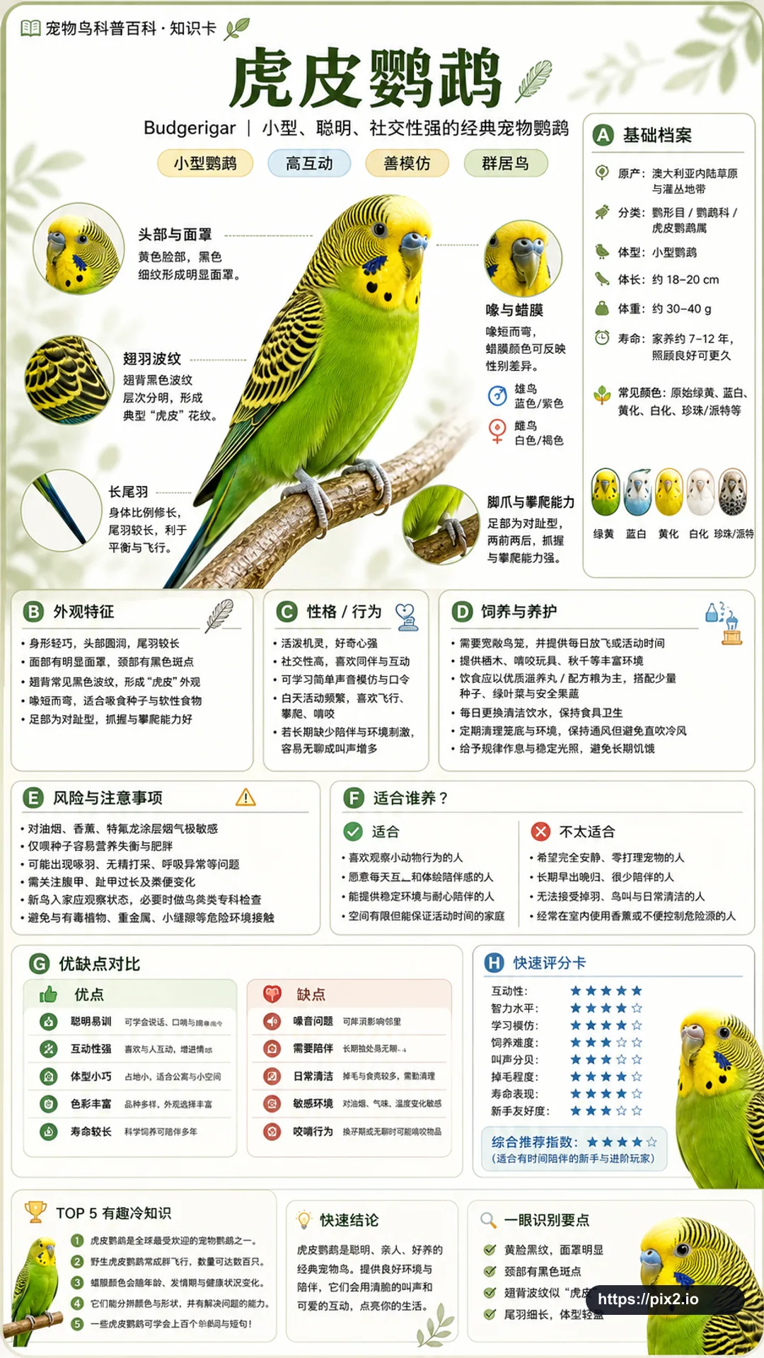 Encyclopedia Knowledge Card